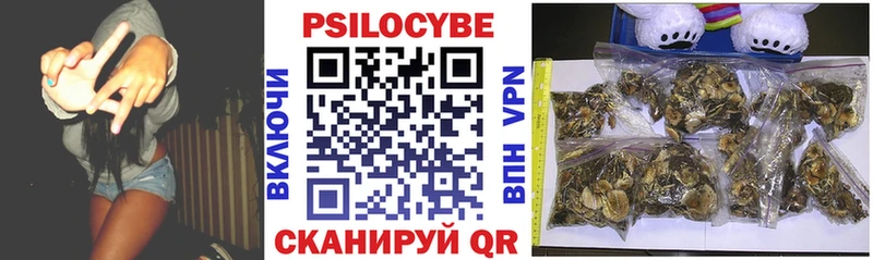 Псилоцибиновые грибы Psilocybine cubensis  Купить  Томмот 